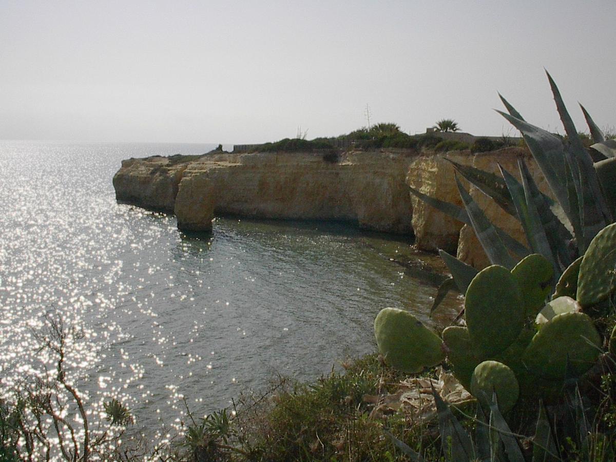 Borghetto Mediterraneo 圣玛丽亚德尔法加洛 外观 照片