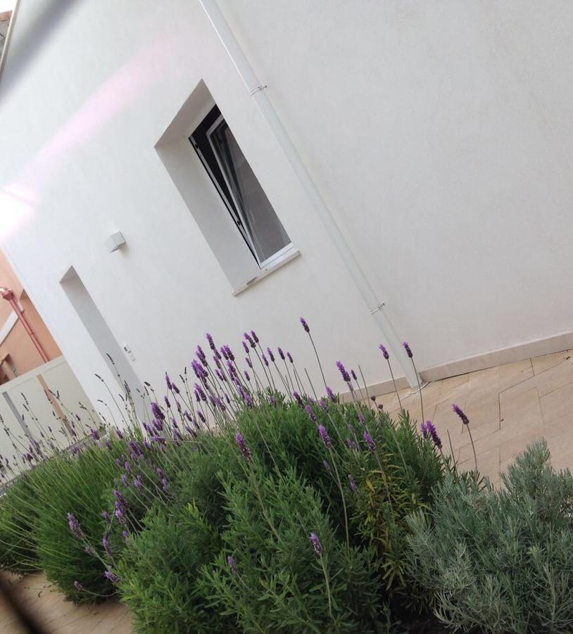 Borghetto Mediterraneo 圣玛丽亚德尔法加洛 外观 照片